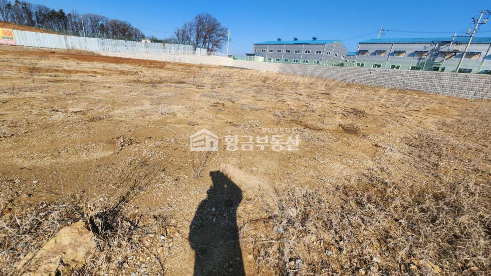 경기 화성만세구 장안면 석포리 장안면토지매매│약1294평│토목공사완료 매매 매물번호 10192 사진 8